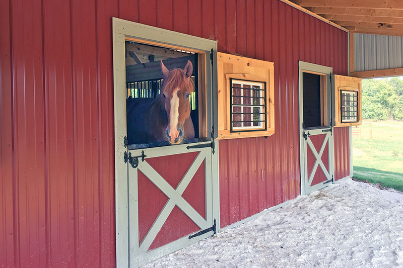 36 X 76 Modular Horse Barn with 10' Overhang & Dutch Doors